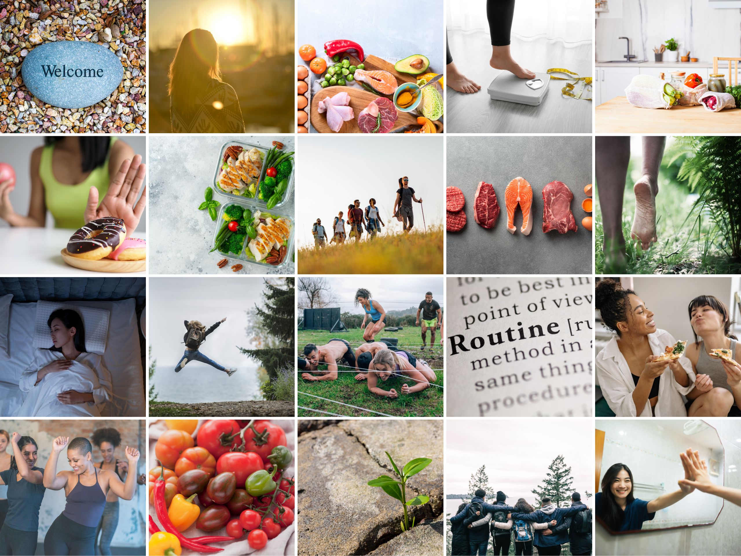 The Primal Life and Diet Content Bundle IMAGES COLLAGE
